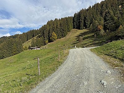 Auf Höhe einer Almhütte...