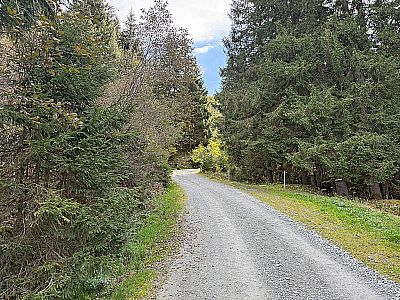 ...wendet sich der Fahrweg wieder nach Südosten