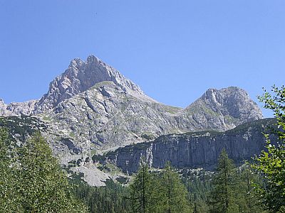 ...bringt uns näher an den Hundstod heran