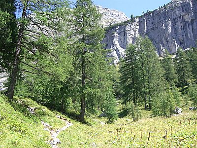 Über einen schmalen Pfad...