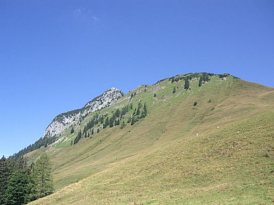 ...und der Hochkranz