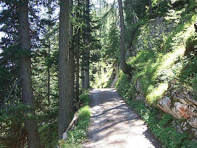 Am rechten Ufer entlang