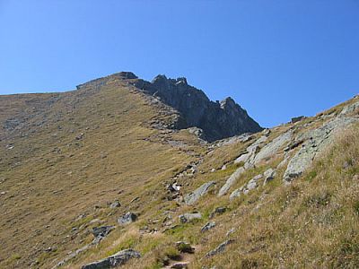 Endspurt Richtung Ifinger