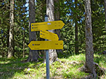 ...schlagen wir den Weg Nr. 443 Richtung Kaseralm ein