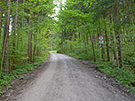 Über einen breiten Forstweg...
