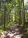 ...und wandern über einen bewaldeten Bergrücken hinauf