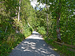 Über einen breiten Forstweg wandern wir bergauf...