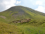 Schafe am Fuße der Rothornspitze