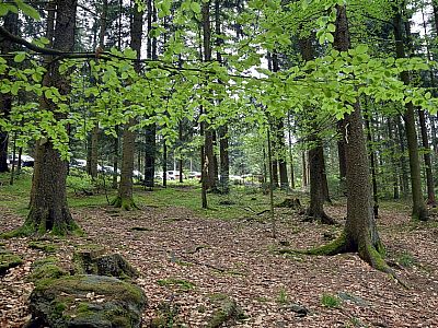 Wir erreichen den Parkplatz 