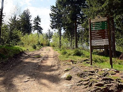 Nach 1.2 km biegen wir rechts Richtung Osserwiesen ab