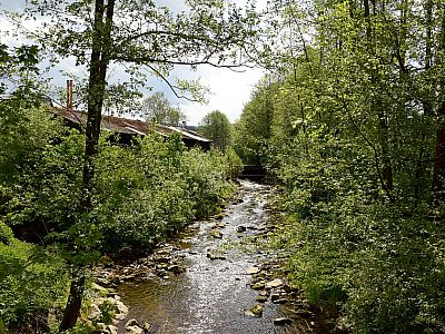 ... und den Weißen Regen.