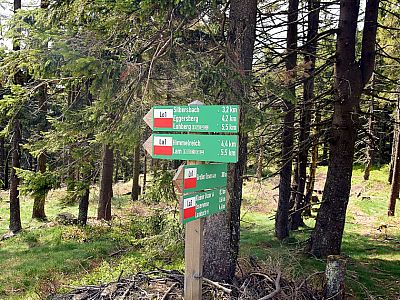 Beim Abstieg halten wir uns vor der Künischen Kapelle links nach Süden