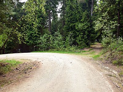 Die zweite rechts, weiter nach 