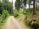 Hier halten wir uns rechts und biegen auf den "Grüner-Weg" benannt nach der Patengemeinde im Böhmerwald