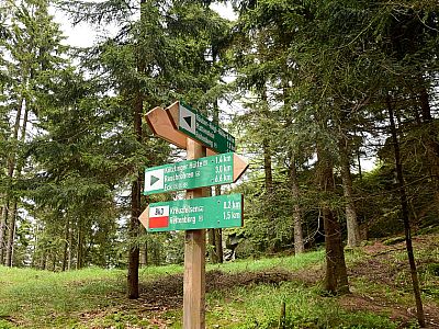 Wir nehmen den bequemen Weg...