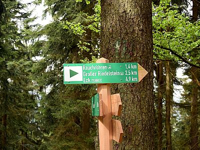 Wir marschieren weiter nach Osten Richtung Rauchröhren und Großer Riederstein