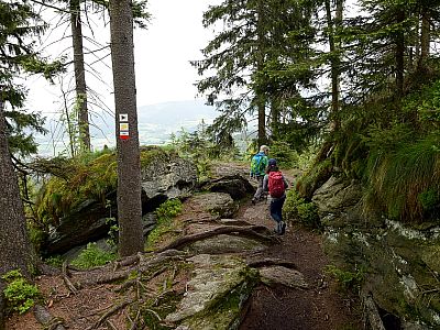 Abwechslungsreich geht es weiter