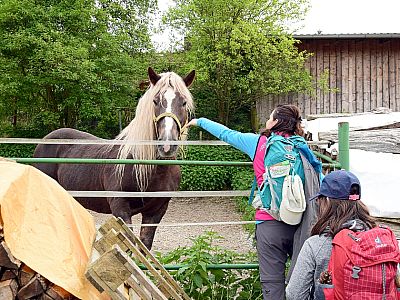 Zwei brünette und eine blonde Schönheit