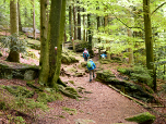 Anschließend wandern wir weiter nach Osten