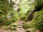 Der Eingang zur Höhle ist gut versteckt