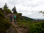 Rechts von uns befindet sich das Steinbühler Gesenke, ein Rückzugsgebiet für Luchse