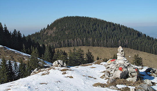 Großer Riesenkopf