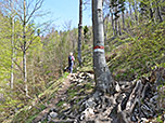 ...und der Weg wird immer holpriger
