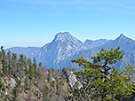 Blick zum Traunstein...