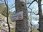 Am Ludleben, dem Sattel zwischen Kleinem und Großem Sonnstein
