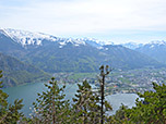 Blick auf den Traunsee
