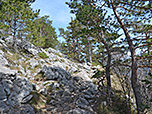 Von der Hütte sind es nur ein paar Minuten...