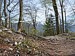 ...und am Ludleben