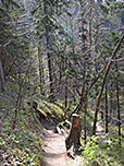 ...wandern wir in vielen Kehren...