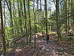 ...über den schattigen Waldpfad hinunter...