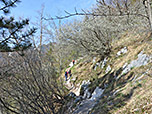 Weiter gehts auf dem Waldpfad