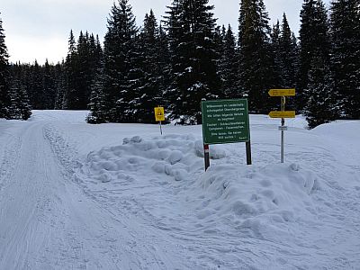 Hier halten wir uns links, ...