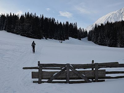 Wir wandern rechts auf die Schneise zu