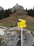 Wegweiser bei der Alm