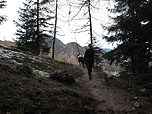 Netter Waldpfad