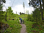 Wir verlassen den Wald...