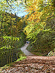 ...durch schattigen Bergwald steil bergauf