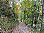...schlagen wir den beschilderten Weg Richtung Grünstein ein