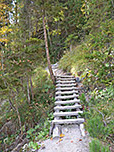 Wir erreichen wieder schattigen Bergwald...