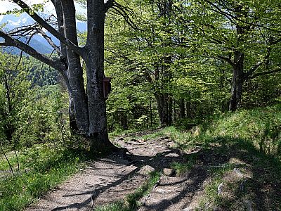 Nach Südwesten, ...