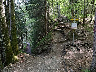 Hier halten wir uns links