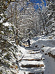 ...wandern wir in ein Waldstück hinein