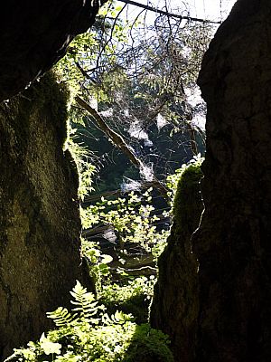 natürliche Kunst in der Klamm.