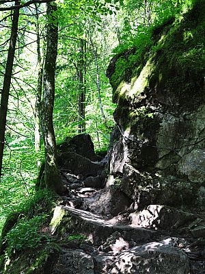 Steiler Aufstieg bis ...