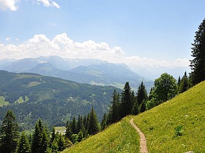 auf schmalen Pfaden.