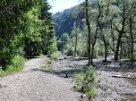 Kiesbänke der Starzlach